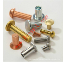 China Manufactory Truss Head Rivet Nuts Zinc Plated